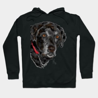 Black Labrador Retriever Dog Hoodie